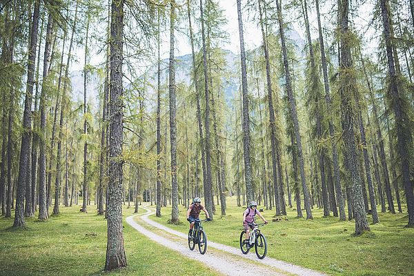 Bike & E-Bike