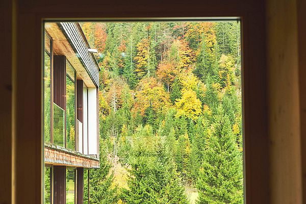 Blick aus Hotelfenster auf bunten Herbstwald mit Nadel- und Laubbäumen