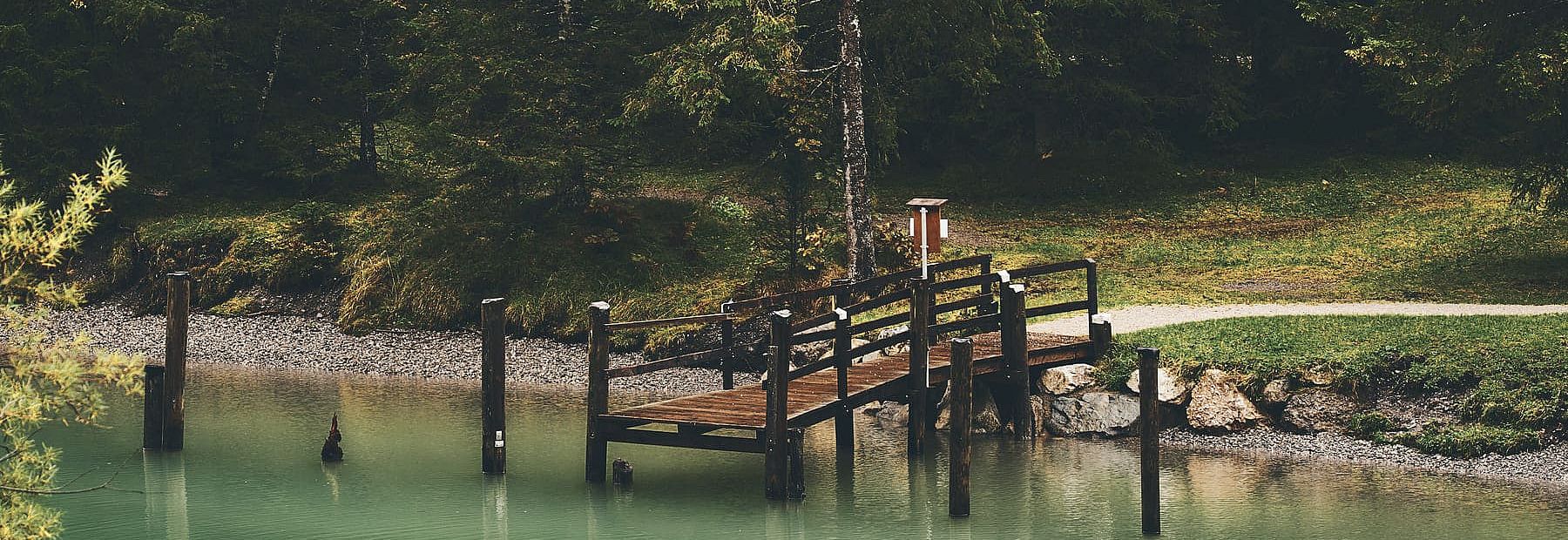 Holzsteg am Seeufer im Wald mit grünem Wasser und Kiesstrand